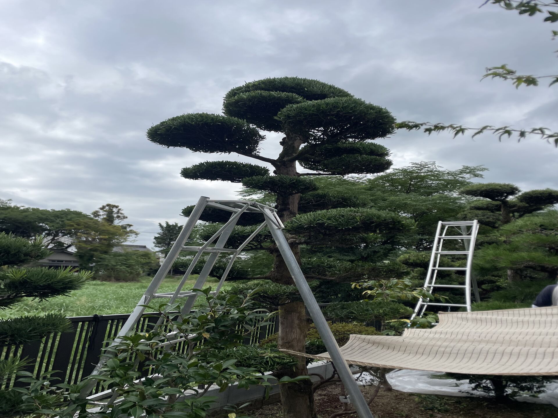 ブログ