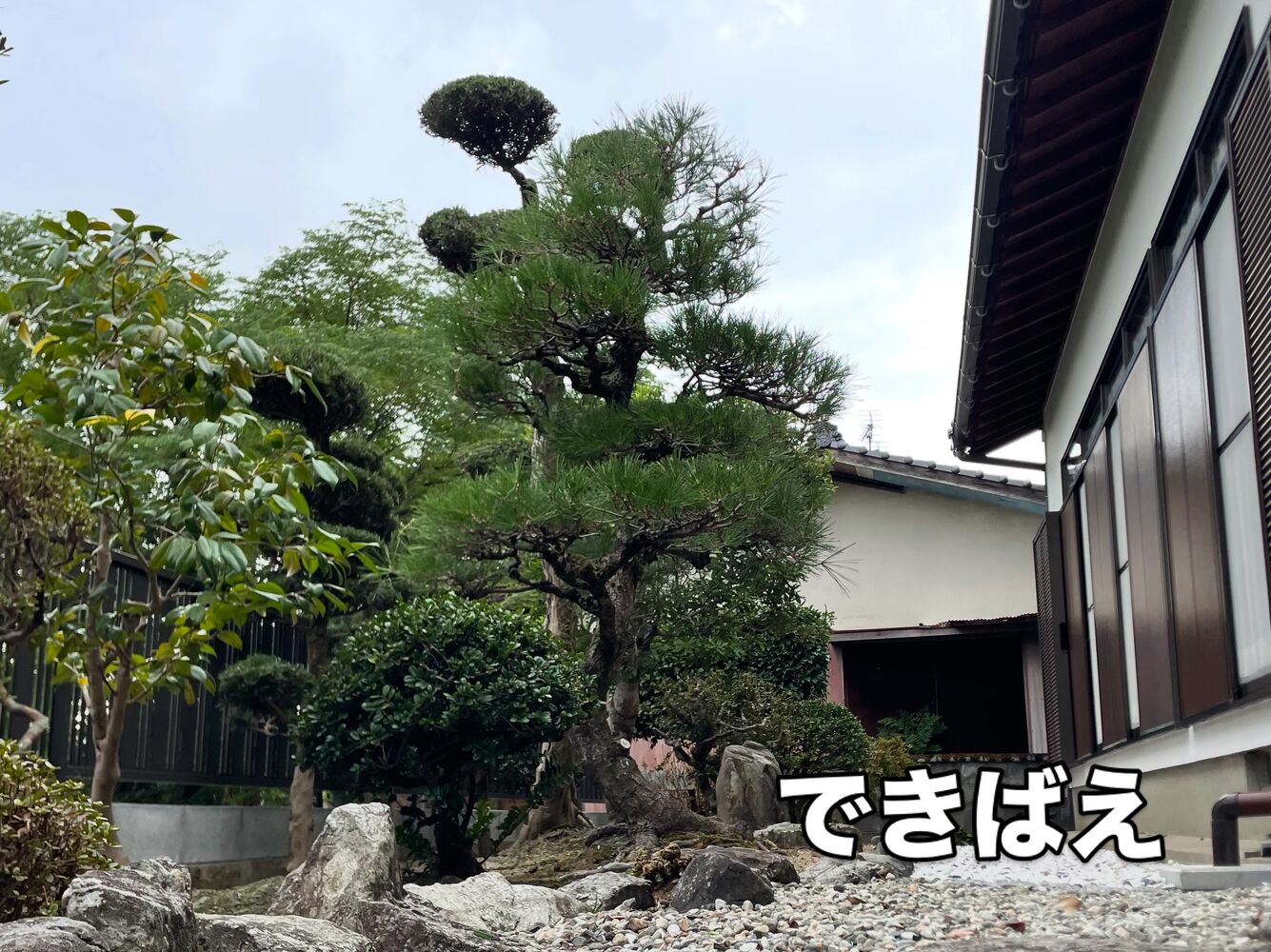 画像1730